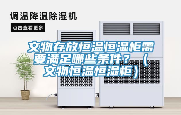 文物存放恒溫恒濕柜需要滿足哪些條件？（文物恒溫恒濕柜）