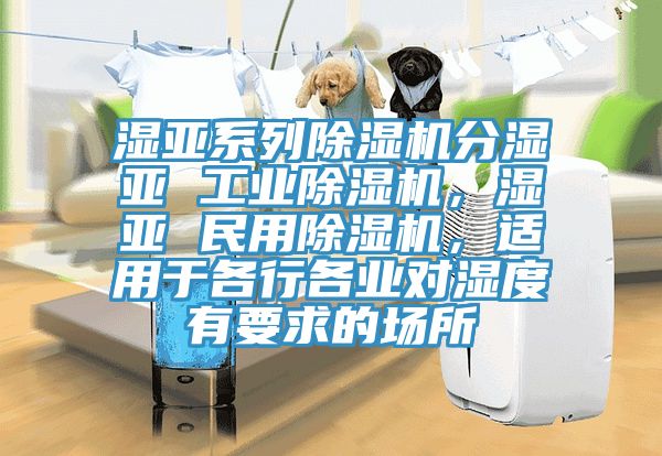 濕亞系列除濕機(jī)分濕亞 工業(yè)除濕機(jī)，濕亞 民用除濕機(jī)，適用于各行各業(yè)對濕度有要求的場所
