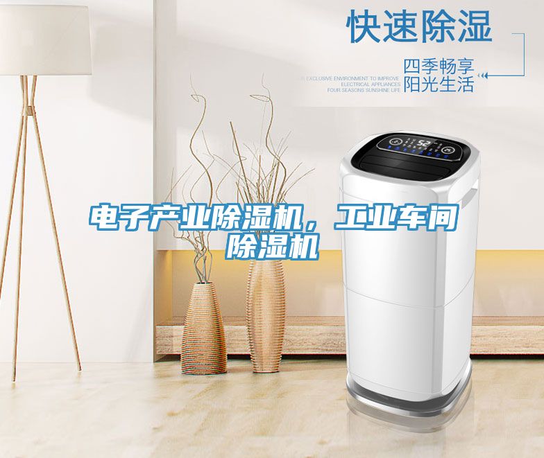 電子產(chǎn)業(yè)除濕機(jī)，工業(yè)車間除濕機(jī)