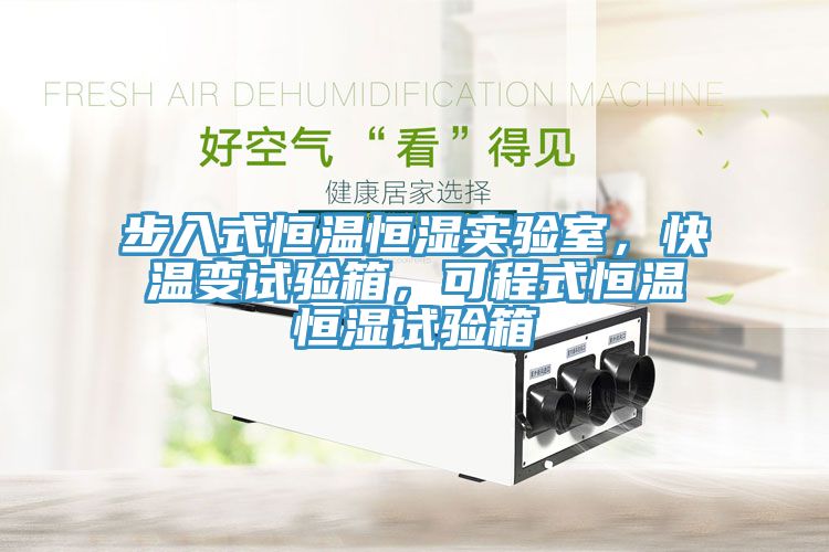 步入式恒溫恒濕實(shí)驗(yàn)室，快溫變?cè)囼?yàn)箱，可程式恒溫恒濕試驗(yàn)箱