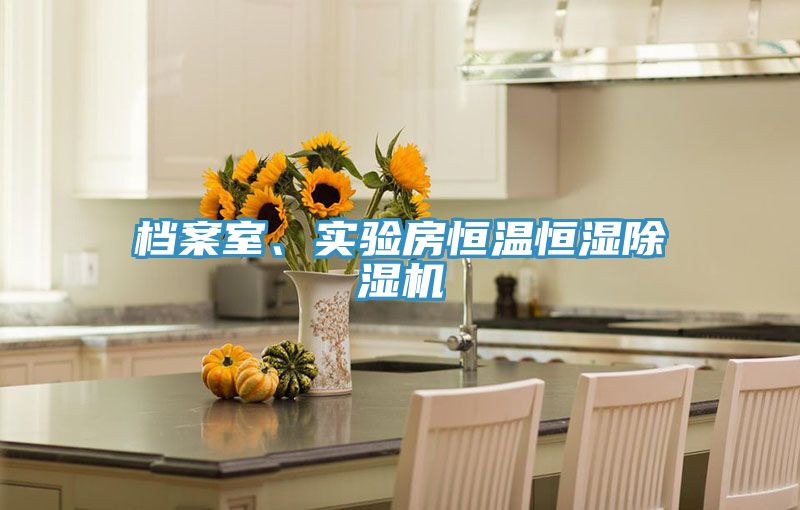 檔案室、實驗房恒溫恒濕除濕機