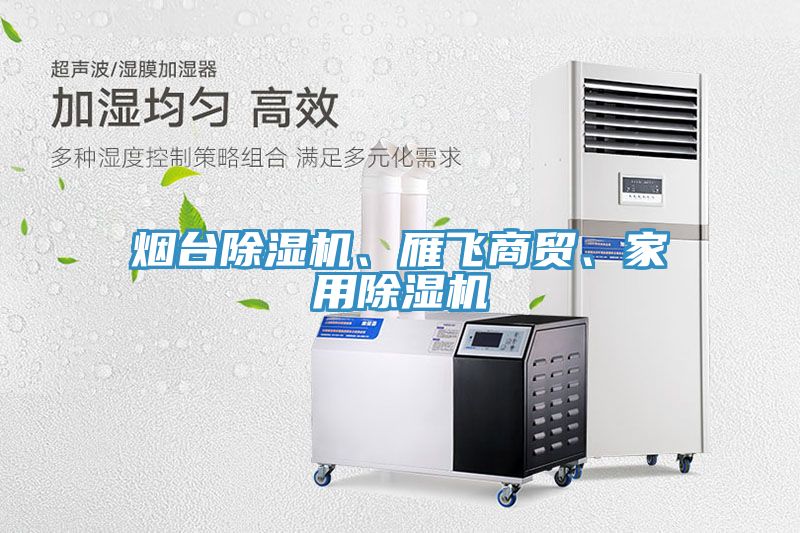 煙臺除濕機、雁飛商貿(mào)、家用除濕機