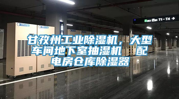 甘孜州工業(yè)除濕機，大型車間地下室抽濕機  配電房倉庫除濕器