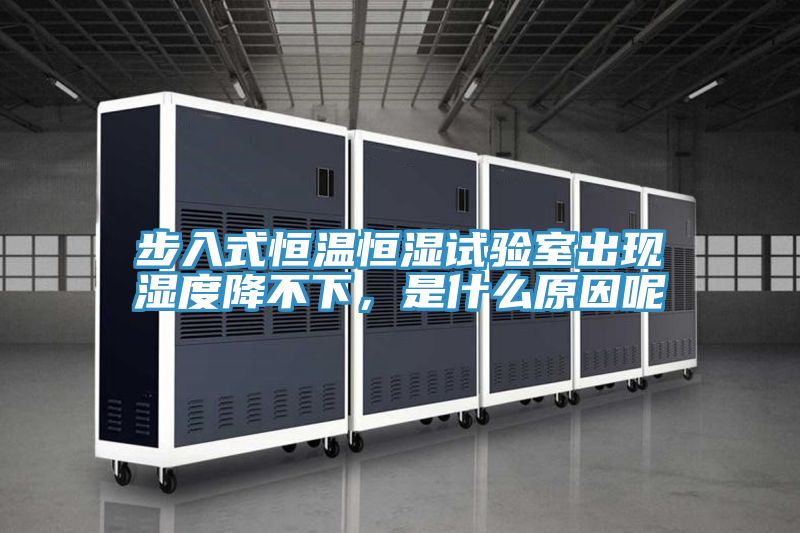 步入式恒溫恒濕試驗(yàn)室出現(xiàn)濕度降不下，是什么原因呢