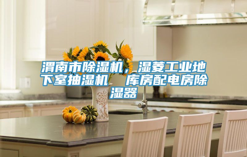 渭南市除濕機(jī)，濕菱工業(yè)地下室抽濕機(jī)  庫房配電房除濕器