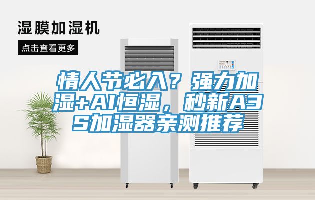 情人節(jié)必入？強力加濕+AI恒濕，秒新A3S加濕器親測推薦
