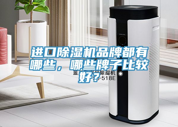 進(jìn)口除濕機(jī)品牌都有哪些，哪些牌子比較好？