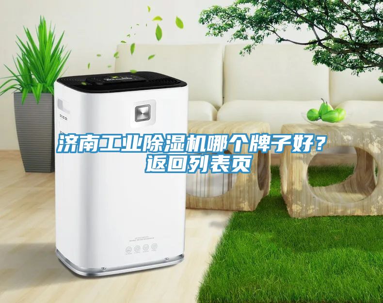 濟(jì)南工業(yè)除濕機(jī)哪個(gè)牌子好？ 返回列表頁(yè)