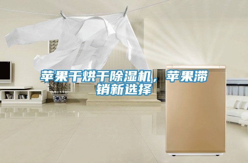 蘋果干烘干除濕機，蘋果滯銷新選擇