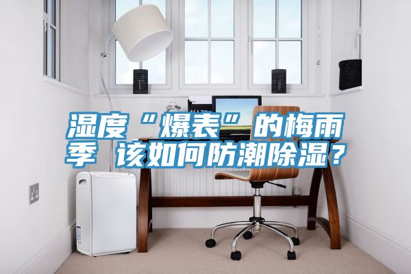 濕度“爆表”的梅雨季 該如何防潮除濕？