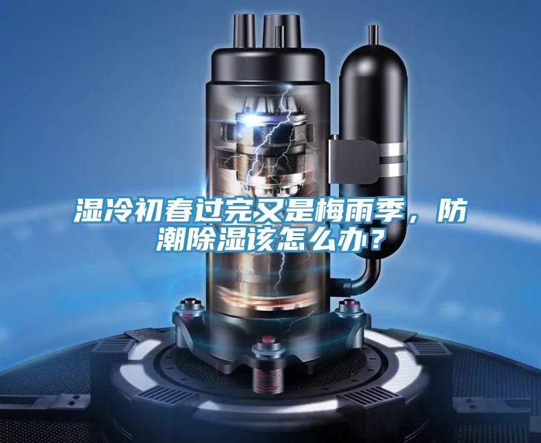濕冷初春過完又是梅雨季，防潮除濕該怎么辦？