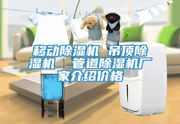 移動除濕機(jī) 吊頂除濕機(jī)  管道除濕機(jī)廠家介紹價(jià)格