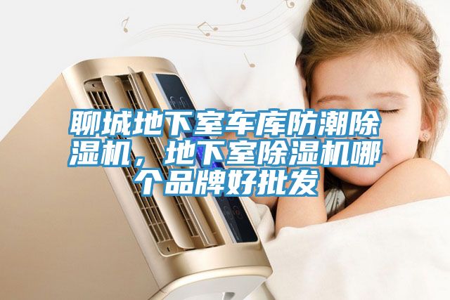 聊城地下室車庫防潮除濕機，地下室除濕機哪個品牌好批發(fā)