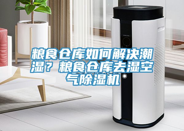糧食倉庫如何解決潮濕？糧食倉庫去濕空氣除濕機(jī)