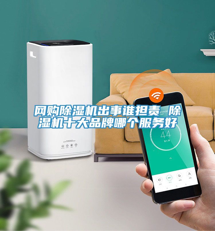 網(wǎng)購(gòu)除濕機(jī)出事誰擔(dān)責(zé) 除濕機(jī)十大品牌哪個(gè)服務(wù)好