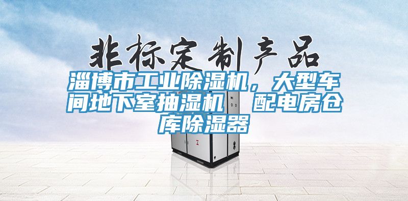 淄博市工業(yè)除濕機(jī)，大型車間地下室抽濕機(jī)  配電房倉庫除濕器