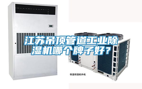 江蘇吊頂管道工業(yè)除濕機(jī)哪個(gè)牌子好？