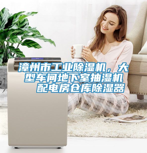 漳州市工業(yè)除濕機，大型車間地下室抽濕機  配電房倉庫除濕器