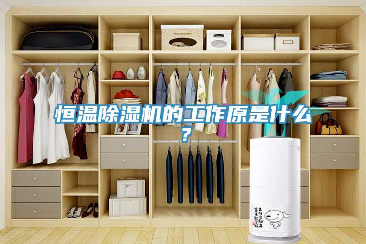 恒溫除濕機(jī)的工作原是什么？