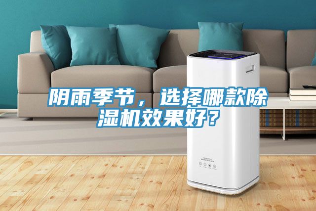 陰雨季節(jié)，選擇哪款除濕機(jī)效果好？