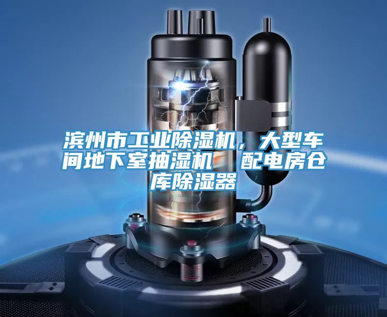 濱州市工業(yè)除濕機，大型車間地下室抽濕機  配電房倉庫除濕器