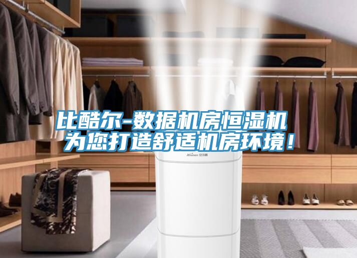 比酷爾-數(shù)據(jù)機房恒濕機 為您打造舒適機房環(huán)境！