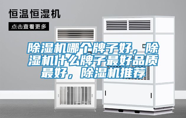 除濕機哪個牌子好，除濕機什么牌子最好品質最好，除濕機推薦