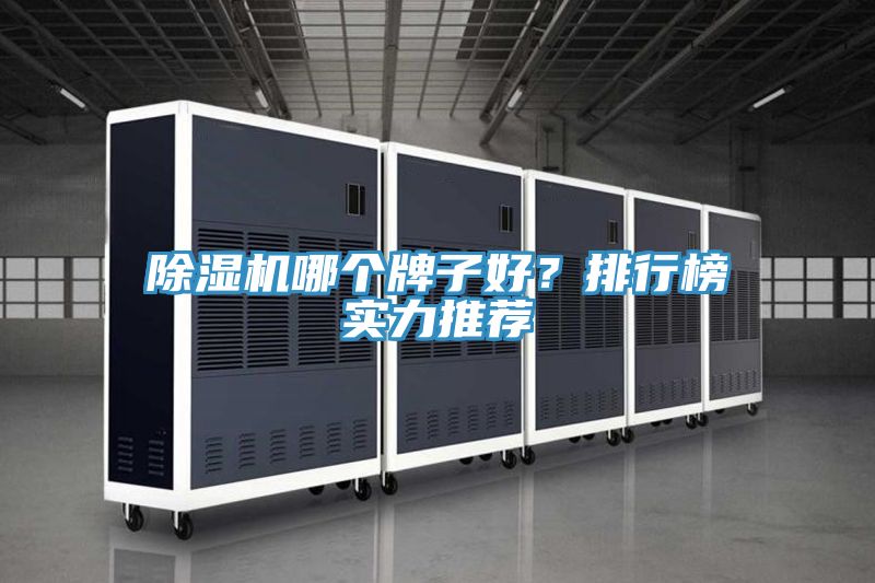 除濕機哪個牌子好？排行榜實力推薦