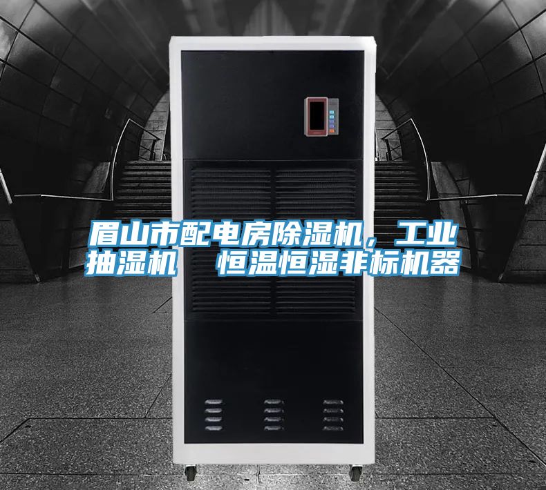 眉山市配電房除濕機(jī)，工業(yè)抽濕機(jī)  恒溫恒濕非標(biāo)機(jī)器