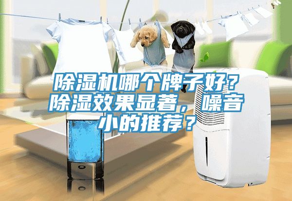 除濕機(jī)哪個(gè)牌子好？除濕效果顯著，噪音小的推薦？