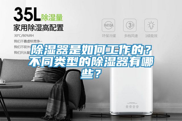 除濕器是如何工作的？不同類型的除濕器有哪些？