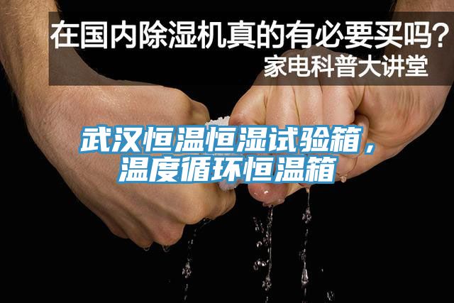 武漢恒溫恒濕試驗箱，溫度循環(huán)恒溫箱