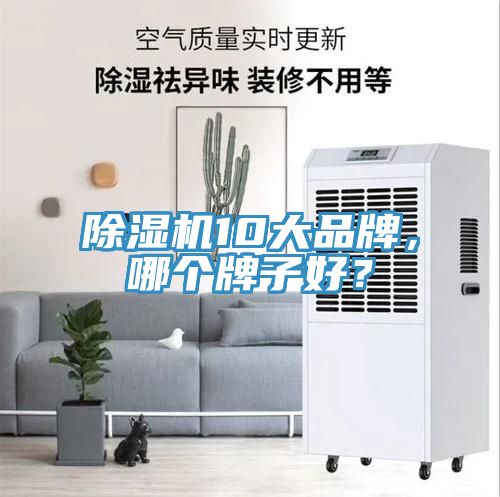除濕機10大品牌，哪個牌子好？