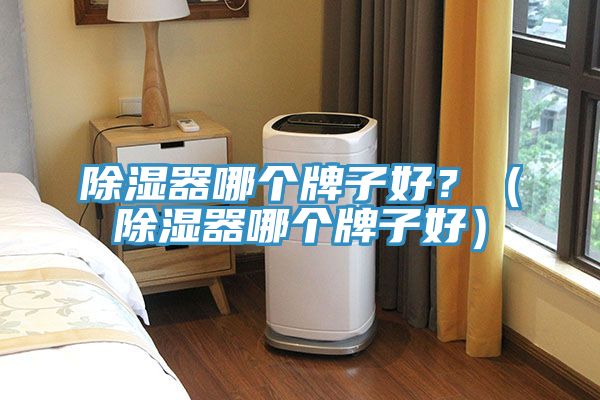 除濕器哪個牌子好？（除濕器哪個牌子好）