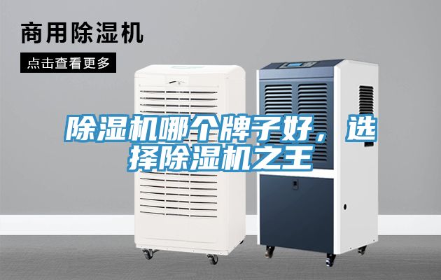 除濕機哪個牌子好，選擇除濕機之王