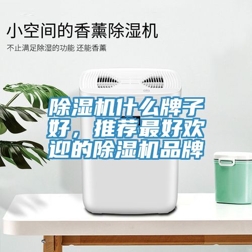 除濕機(jī)什么牌子好，推薦最好歡迎的除濕機(jī)品牌