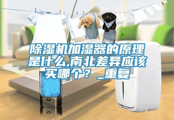除濕機(jī)加濕器的原理是什么,南北差異應(yīng)該買哪個？_重復(fù)