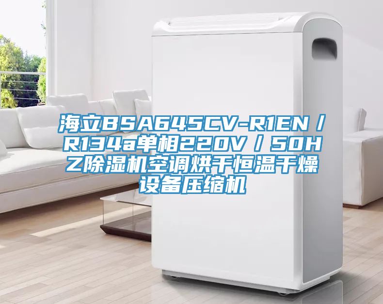 海立BSA645CV-R1EN／R134a單相220V／50HZ除濕機空調(diào)烘干恒溫干燥設備壓縮機