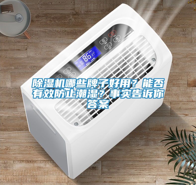 除濕機(jī)哪些牌子好用？能否有效防止潮濕？事實(shí)告訴你答案