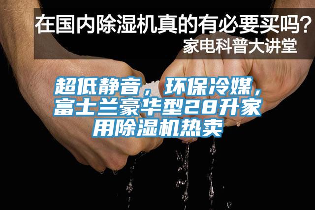 超低靜音，環(huán)保冷媒，富士蘭豪華型28升家用除濕機熱賣