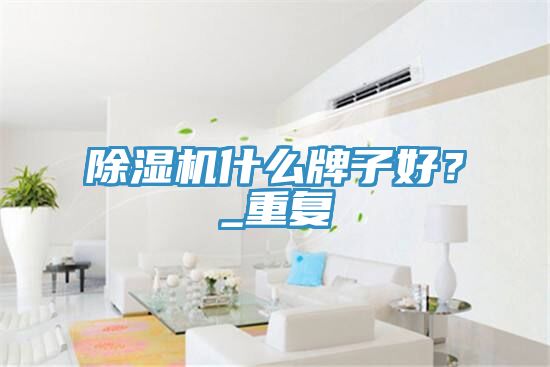 除濕機什么牌子好？_重復