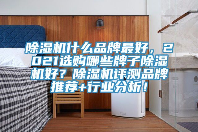 除濕機(jī)什么品牌最好，2021選購哪些牌子除濕機(jī)好？除濕機(jī)評(píng)測(cè)品牌推薦+行業(yè)分析！