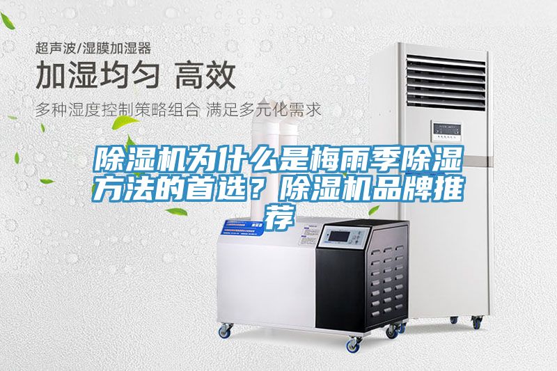 除濕機(jī)為什么是梅雨季除濕方法的首選？除濕機(jī)品牌推薦