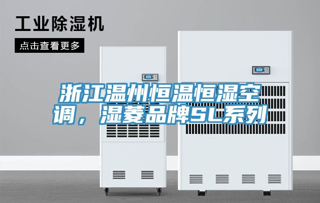浙江溫州恒溫恒濕空調(diào)，濕菱品牌SL系列