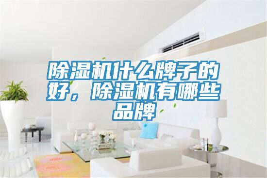 除濕機什么牌子的好，除濕機有哪些品牌