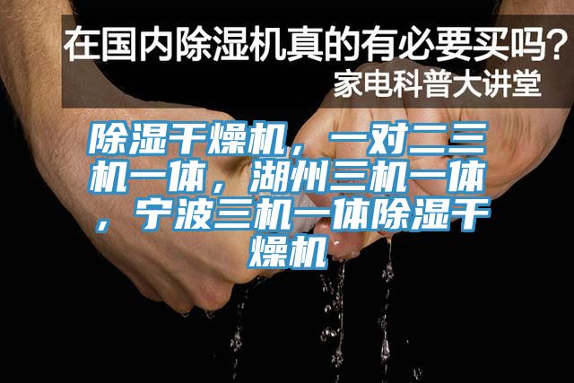 除濕干燥機(jī)，一對(duì)二三機(jī)一體，湖州三機(jī)一體，寧波三機(jī)一體除濕干燥機(jī)
