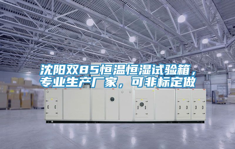 沈陽雙85恒溫恒濕試驗箱，專業(yè)生產(chǎn)廠家，可非標(biāo)定做