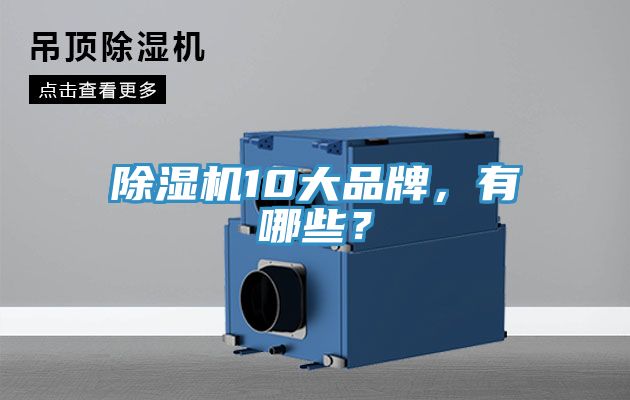 除濕機(jī)10大品牌，有哪些？
