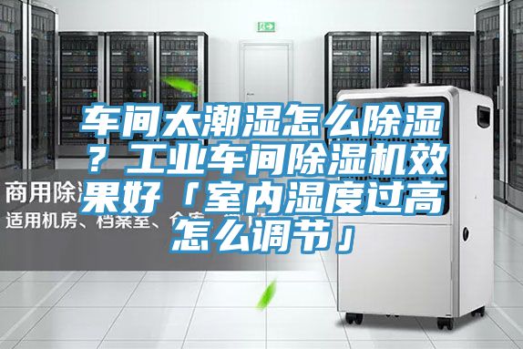 車間太潮濕怎么除濕？工業(yè)車間除濕機效果好「室內(nèi)濕度過高怎么調(diào)節(jié)」