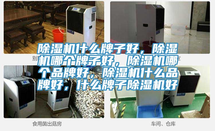 除濕機(jī)什么牌子好，除濕機(jī)哪個牌子好，除濕機(jī)哪個品牌好，除濕機(jī)什么品牌好，什么牌子除濕機(jī)好